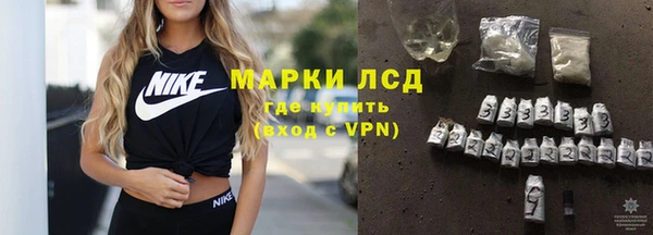 spice Аркадак