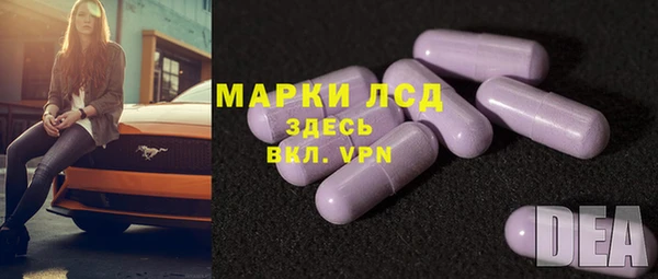 spice Аркадак