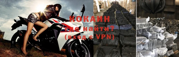 индика Аша