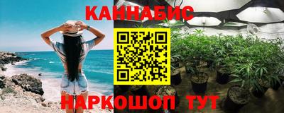 шишки Коммунар